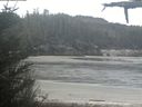 ./images/calvert/beach/20210513/beach20210513_081502.jpg