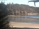 ./images/calvert/beach/20210513/beach20210513_192003.jpg