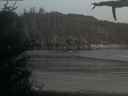 ./images/calvert/beach/20210513/beach20210513_215002.jpg