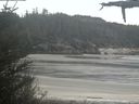 ./images/calvert/beach/20210515/beach20210515_105003.jpg