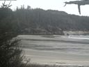 ./images/calvert/beach/20210515/beach20210515_122002.jpg