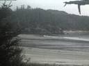 ./images/calvert/beach/20210515/beach20210515_213503.jpg