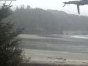 ./images/calvert/beach/20210516/beach20210516_091001.jpg
