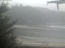 ./images/calvert/beach/20210516/beach20210516_121003.jpg