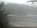 ./images/calvert/beach/20210516/beach20210516_121503.jpg
