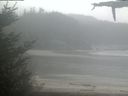 ./images/calvert/beach/20210516/beach20210516_122003.jpg