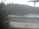 ./images/calvert/beach/20210516/beach20210516_124002.jpg