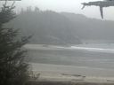 ./images/calvert/beach/20210516/beach20210516_135003.jpg