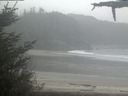 ./images/calvert/beach/20210516/beach20210516_135503.jpg