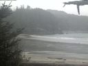 ./images/calvert/beach/20210516/beach20210516_142502.jpg