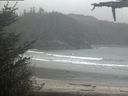 ./images/calvert/beach/20210516/beach20210516_161502.jpg