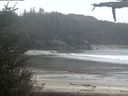 ./images/calvert/beach/20210516/beach20210516_211002.jpg