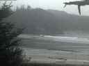 ./images/calvert/beach/20210516/beach20210516_214003.jpg