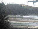 ./images/calvert/beach/20210517/beach20210517_083503.jpg