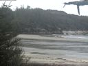 ./images/calvert/beach/20210517/beach20210517_101503.jpg