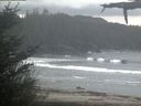 ./images/calvert/beach/20210518/beach20210518_061002.jpg