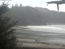./images/calvert/beach/20210518/beach20210518_085503.jpg