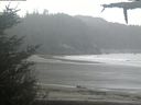 ./images/calvert/beach/20210518/beach20210518_092502.jpg