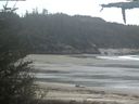 ./images/calvert/beach/20210518/beach20210518_120502.jpg
