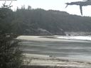 ./images/calvert/beach/20210518/beach20210518_131002.jpg