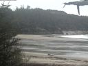 ./images/calvert/beach/20210518/beach20210518_132002.jpg