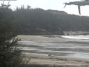 ./images/calvert/beach/20210518/beach20210518_132502.jpg