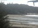 ./images/calvert/beach/20210518/beach20210518_134002.jpg