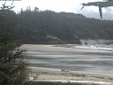 ./images/calvert/beach/20210518/beach20210518_135503.jpg