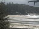 ./images/calvert/beach/20210518/beach20210518_141002.jpg