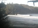 ./images/calvert/beach/20210519/beach20210519_074503.jpg