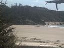 ./images/calvert/beach/20210519/beach20210519_144002.jpg