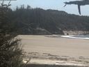 ./images/calvert/beach/20210519/beach20210519_145002.jpg