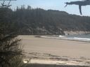 ./images/calvert/beach/20210519/beach20210519_160501.jpg
