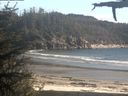./images/calvert/beach/20210519/beach20210519_182002.jpg