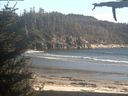 ./images/calvert/beach/20210519/beach20210519_185503.jpg