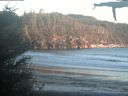./images/calvert/beach/20210519/beach20210519_210502.jpg