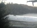 ./images/calvert/beach/20210520/beach20210520_073502.jpg