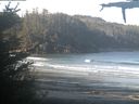 ./images/calvert/beach/20210520/beach20210520_082502.jpg