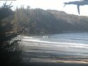 ./images/calvert/beach/20210520/beach20210520_083501.jpg