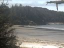 ./images/calvert/beach/20210520/beach20210520_111502.jpg