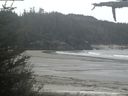 ./images/calvert/beach/20210520/beach20210520_113502.jpg