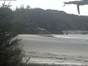 ./images/calvert/beach/20210520/beach20210520_124503.jpg