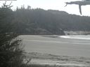 ./images/calvert/beach/20210520/beach20210520_130503.jpg