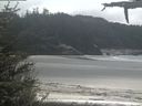 ./images/calvert/beach/20210520/beach20210520_131501.jpg