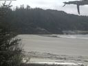 ./images/calvert/beach/20210520/beach20210520_132501.jpg
