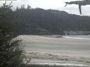 ./images/calvert/beach/20210520/beach20210520_134501.jpg