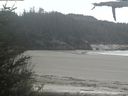 ./images/calvert/beach/20210520/beach20210520_140502.jpg
