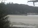 ./images/calvert/beach/20210520/beach20210520_142003.jpg