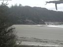 ./images/calvert/beach/20210520/beach20210520_143503.jpg