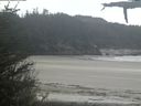 ./images/calvert/beach/20210520/beach20210520_150501.jpg